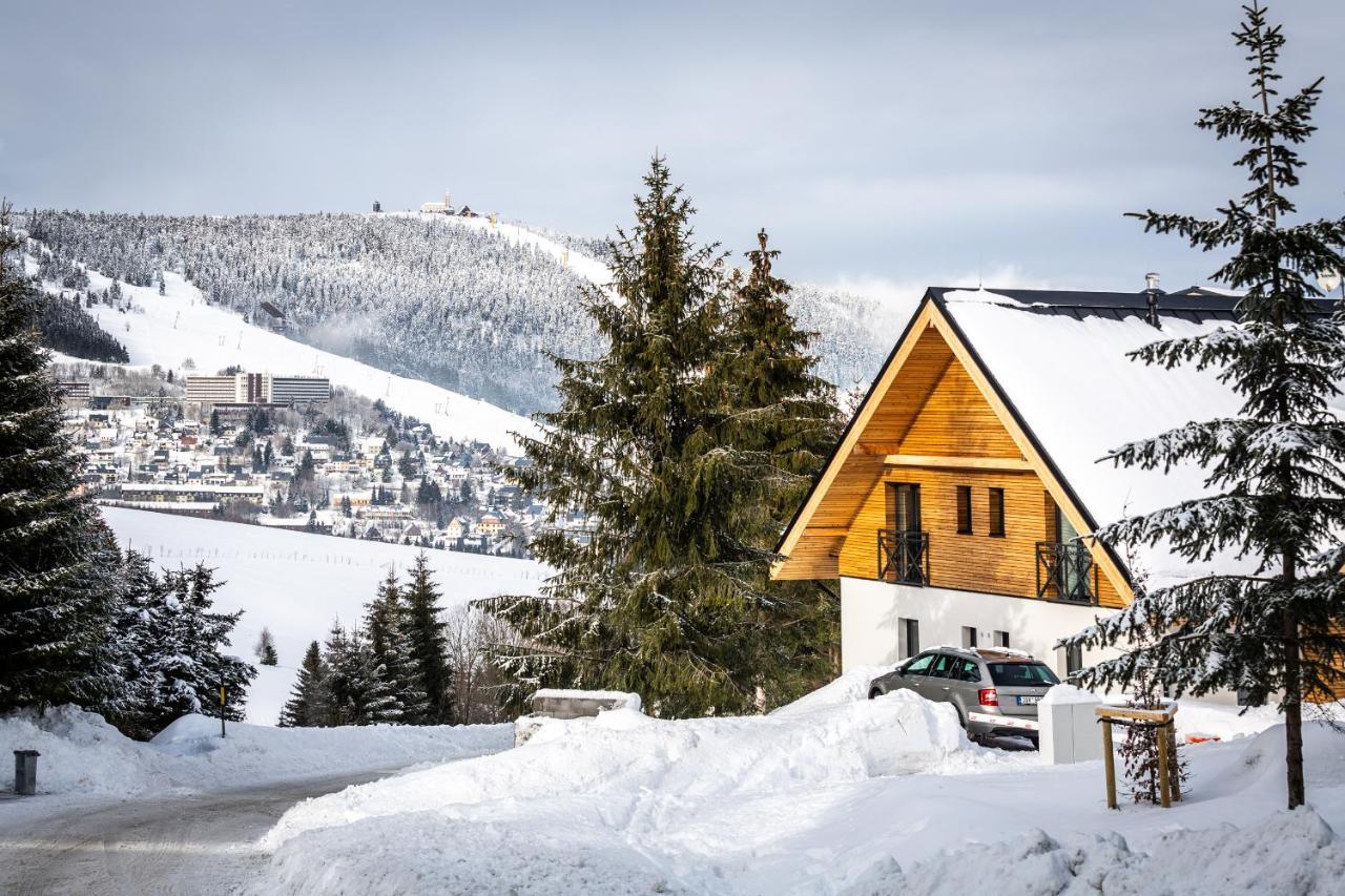 Ski Chalet Klinovec Loucna pod Klinovcem Exterior photo